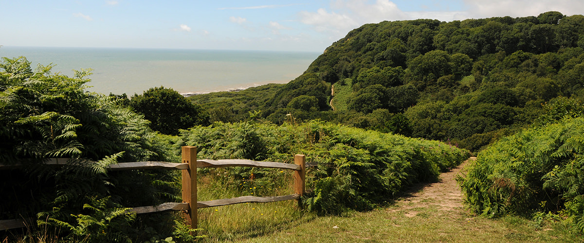 Hastings Country Walk